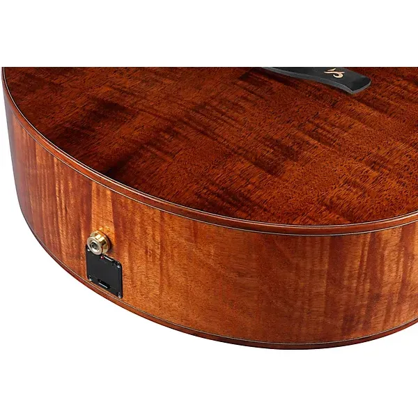 Ibanez AE295LTD Limited-Edition Acoustic-Electric Guitar — view 6