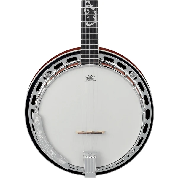 Ibanez&nbsp;B200 5-string Resonator Banjo