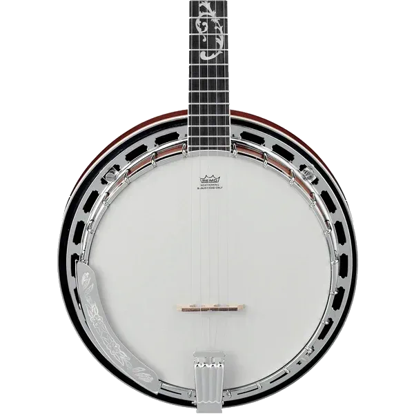 Ibanez&nbsp;B200 5-string Resonator Banjo