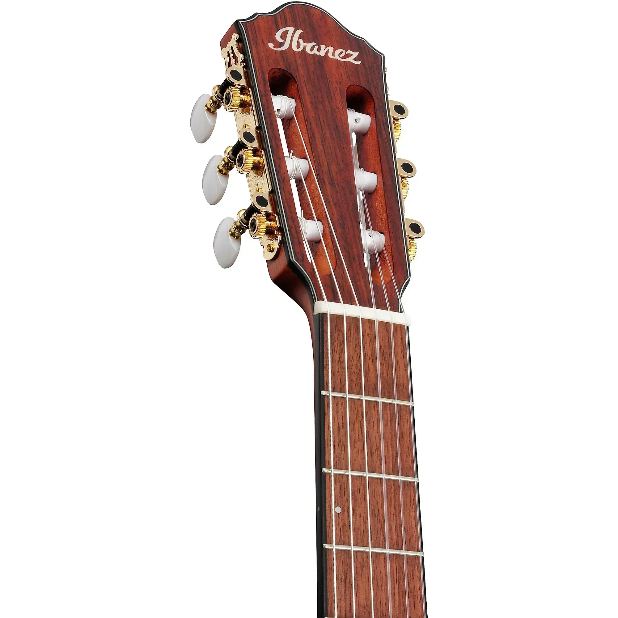 Ibanez Nylon String Acoustic Guitar - Brown Sunburst Flat