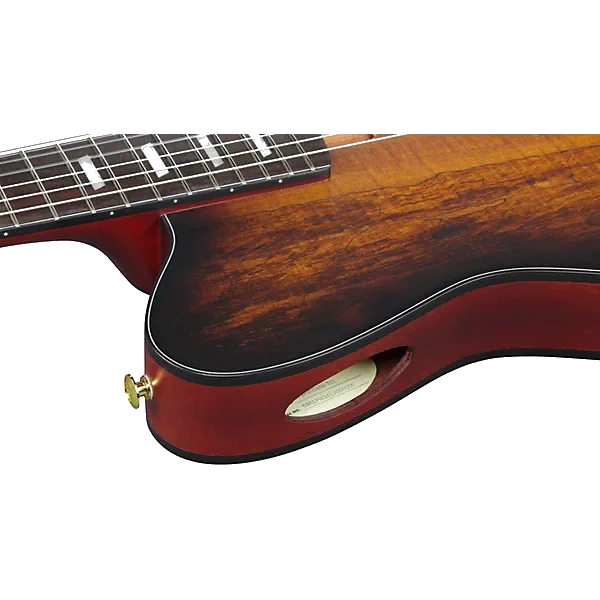 Ibanez FRH20 Thinline Nylon-string Acoustic-electric Guitar – Satin Natural — view 5