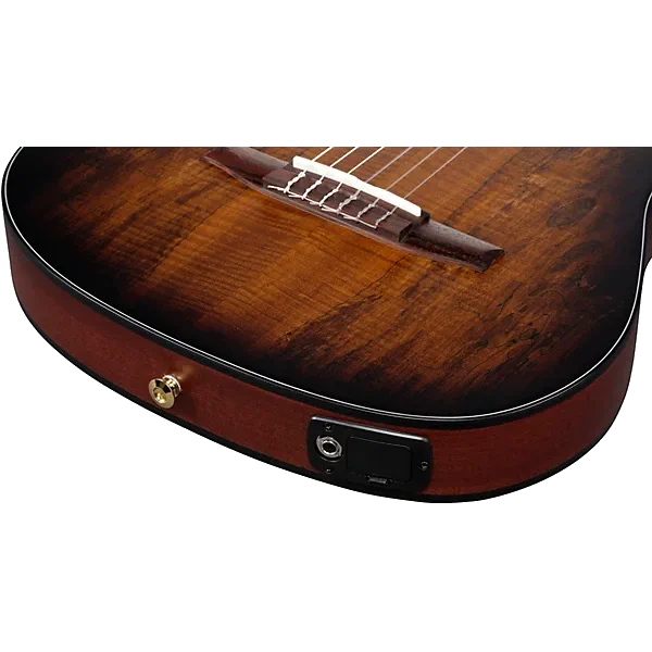Ibanez FRH20 Thinline Nylon-string Acoustic-electric Guitar – Satin Natural — view 6