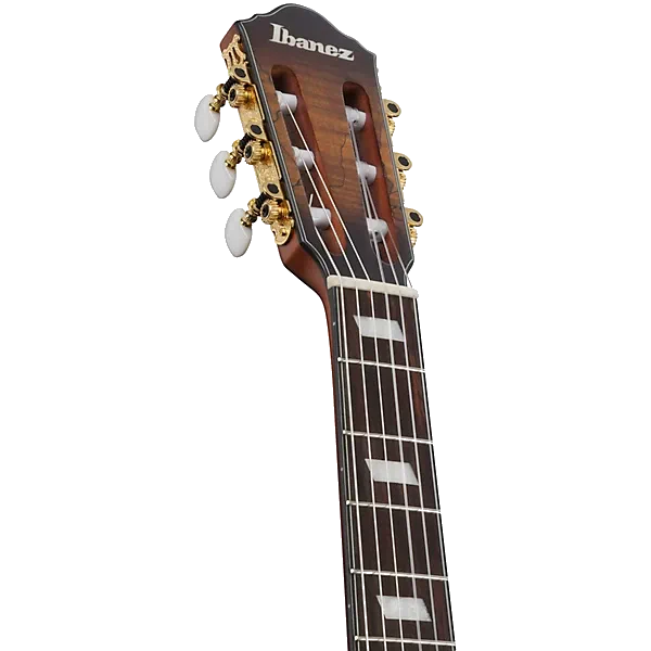 Ibanez FRH20 Thinline Nylon-string Acoustic-electric Guitar – Satin Natural — view 8