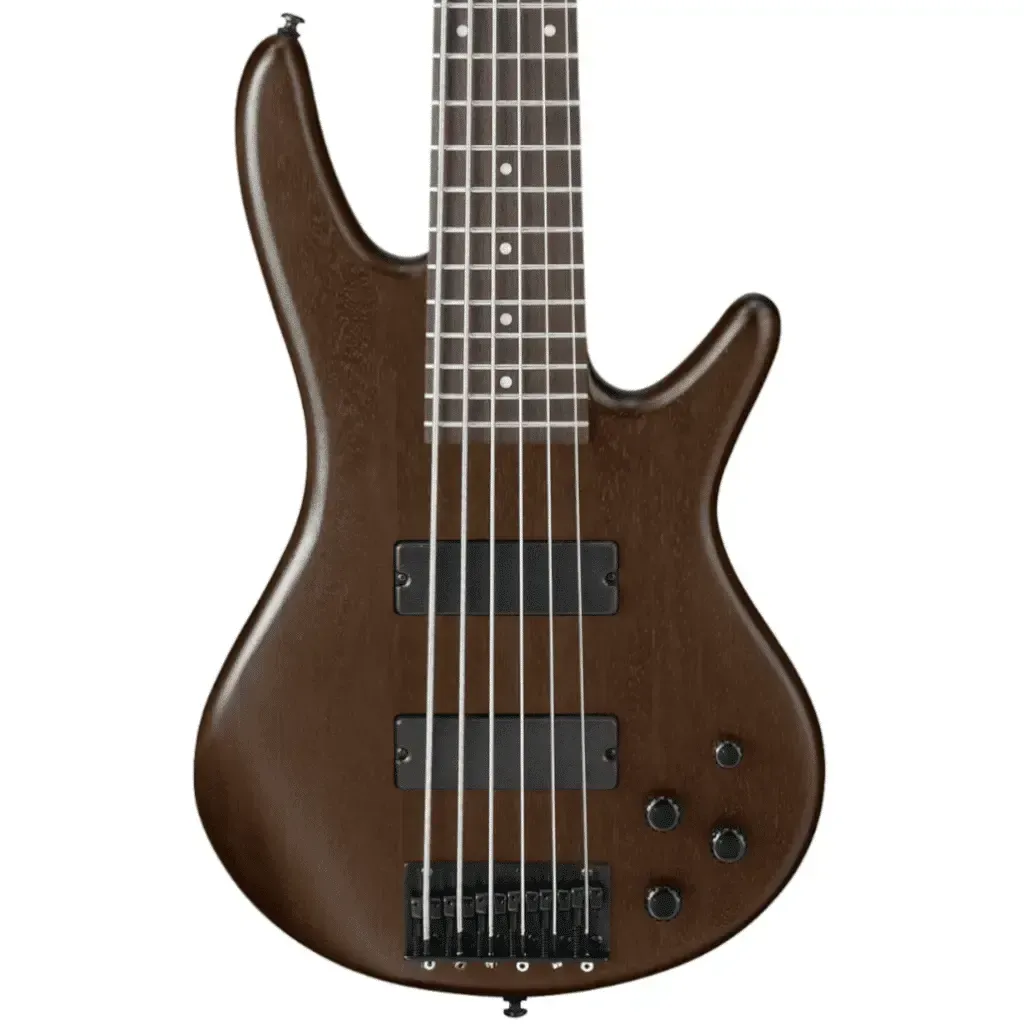 Ibanez Gio GSR206BWNF 6-string Bass Guitar - WF