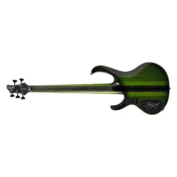 Ibanez Steve Di Giorgio SDGB1 Signature 5-string Fretless Bass Guitar – Dark Moss Burst — view 4