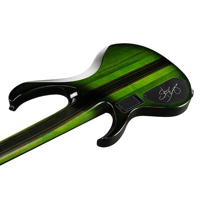 Ibanez Steve Di Giorgio SDGB1 Signature 5-string Fretless Bass Guitar – Dark Moss Burst — view 5