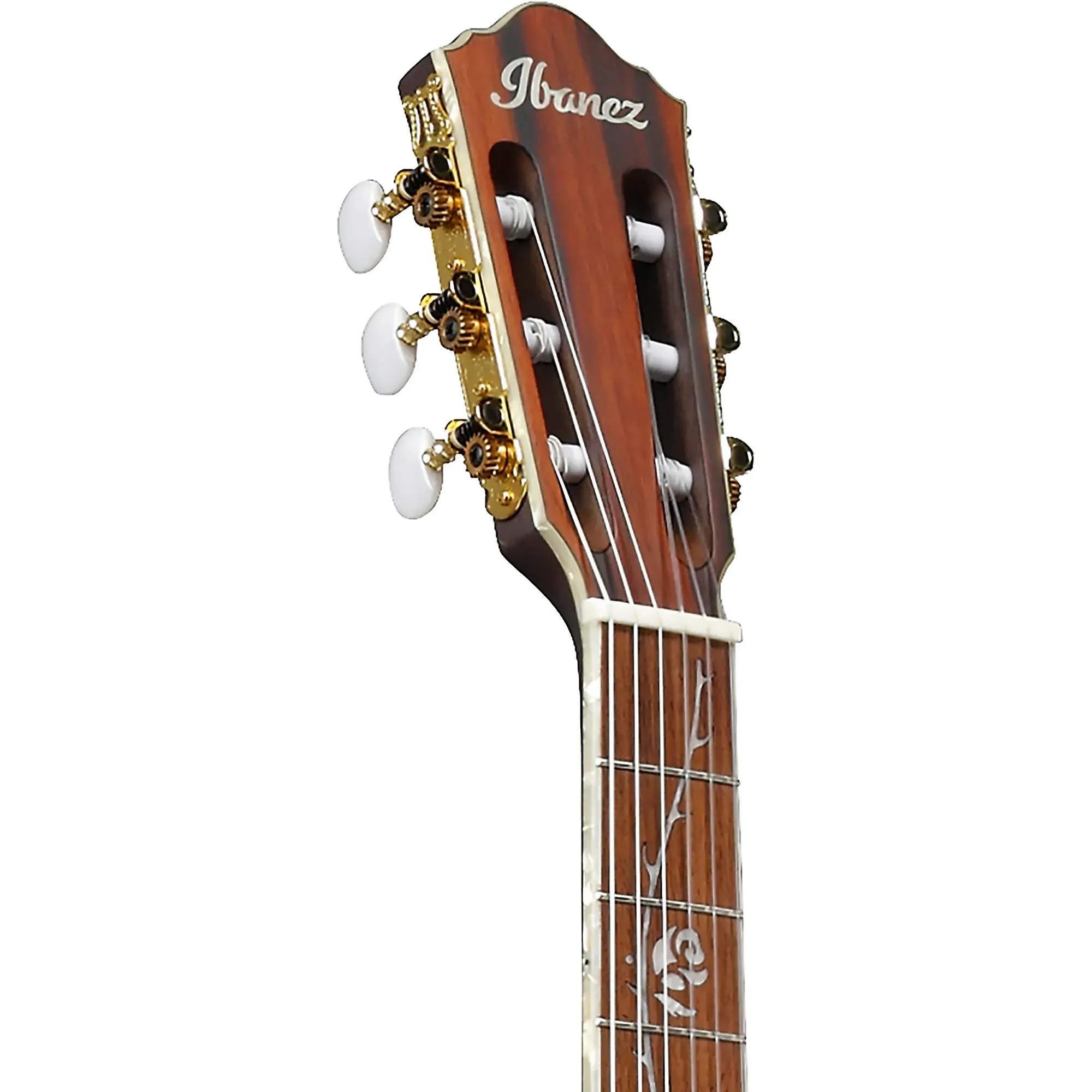 Ibanez Tim Henson Nylon Acoustic Electric Guitar - Black — view 4