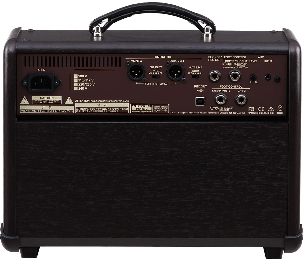 Boss Acoustic Singer Live 60-watt Bi-amp Acoustic Combo with FX — view 4