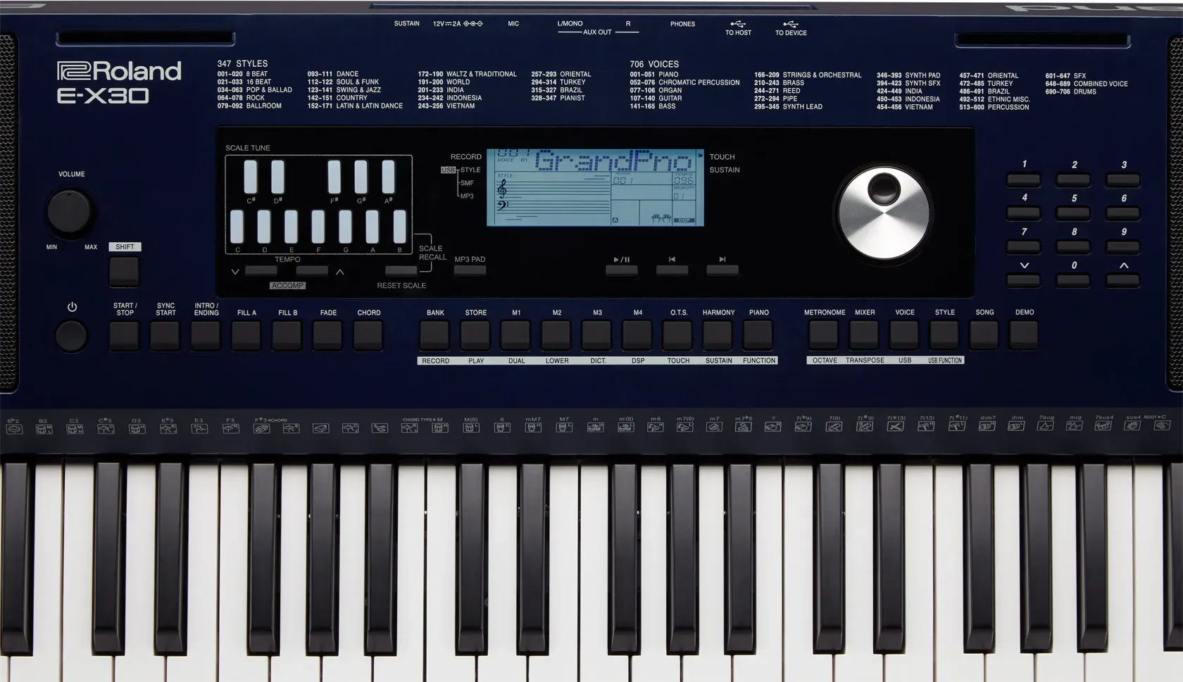 Roland EX30 61-Key Arranger Keyboard — view 16
