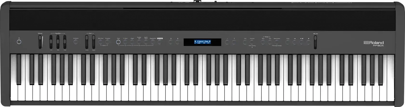 Roland FP-90X Digital Piano - Black — view 9