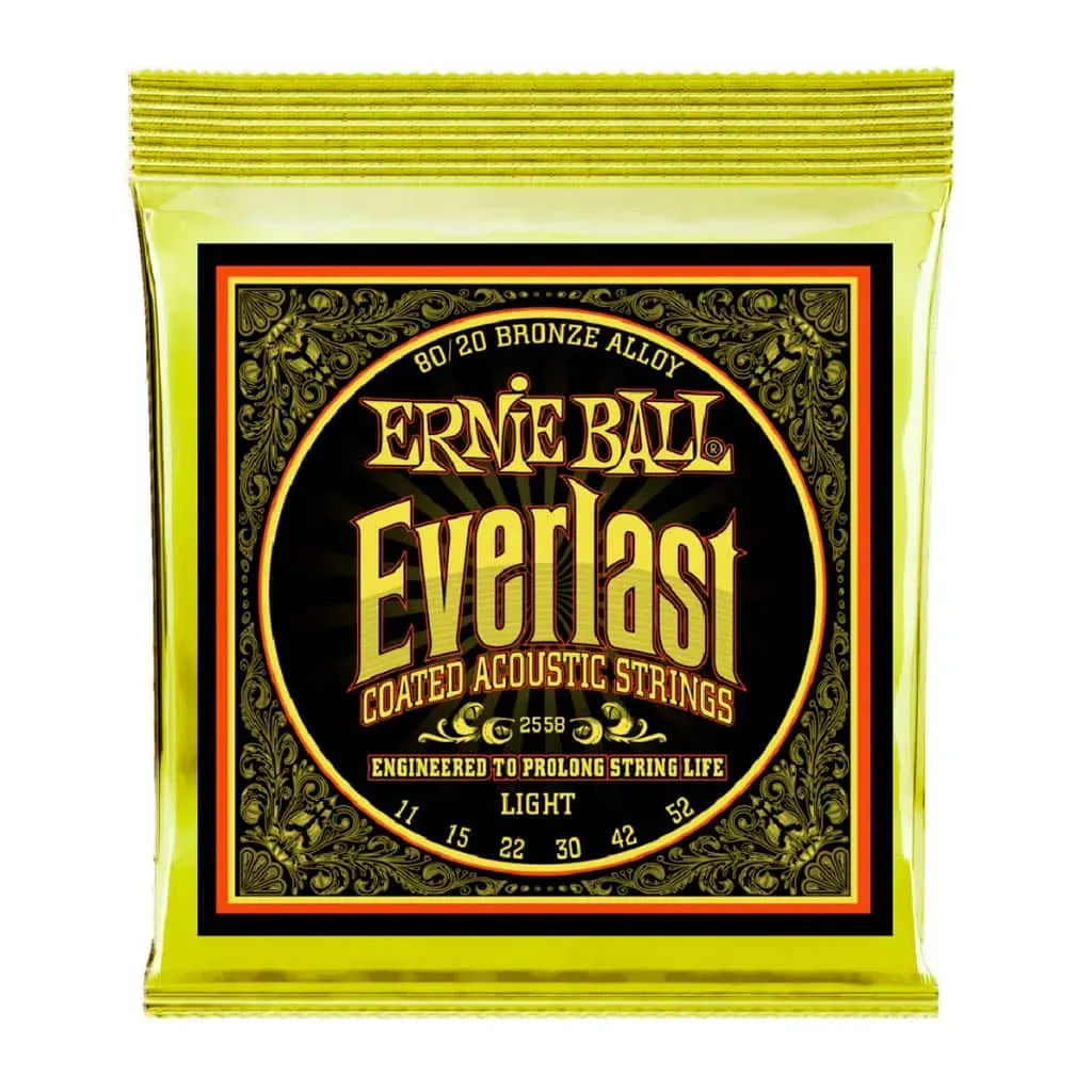 ERNIE BALL EVERLAST 80/20