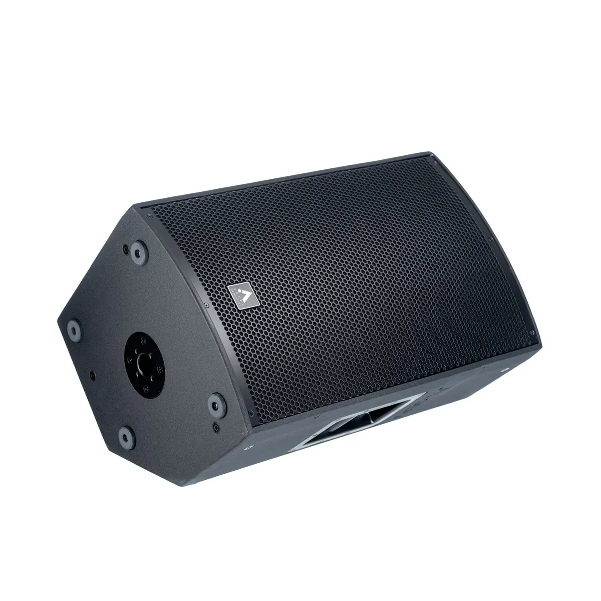 Agera Acoustics SWC-10AP – 10 inch Active Speaker — view 3
