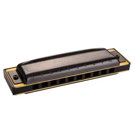 Hohner Pro Harp MS-Series Harmonica – Key C — view 1