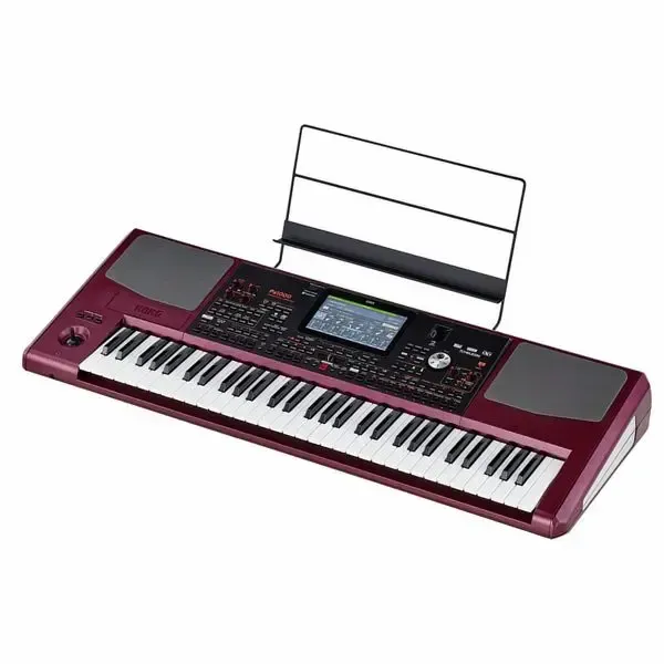 Korg Pa1000 61-Key Semi Weighted Professional Arranger — view 1