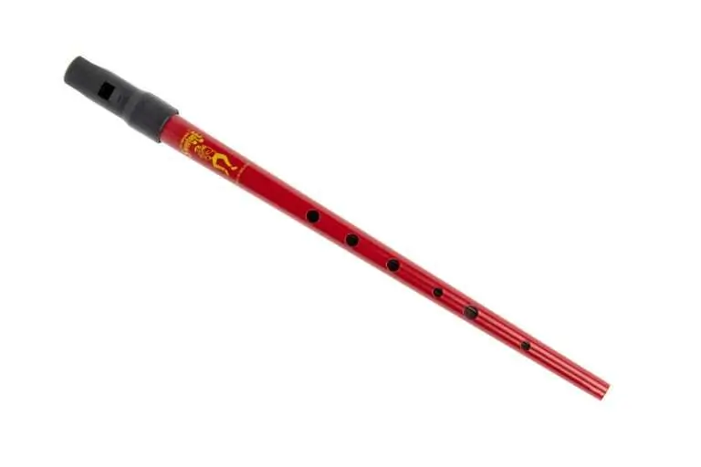 Clarke Sweetone Tinwhistle with Plastic Pouch – Key D — view 6