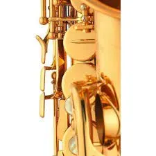 Yamaha YAS-875EX Custom Professional Alto Saxophone - Gold Lacquer — view 3