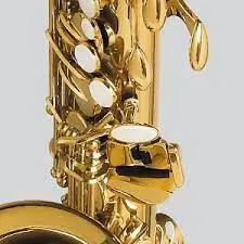Yamaha YAS-875EX Custom Professional Alto Saxophone - Gold Lacquer — view 5