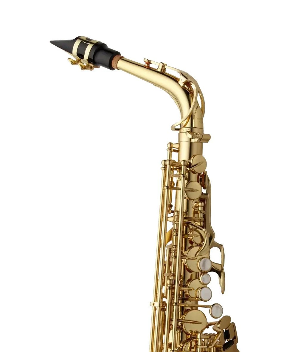 Yanagisawa AWO1 Professional Alto Saxophone — view 3