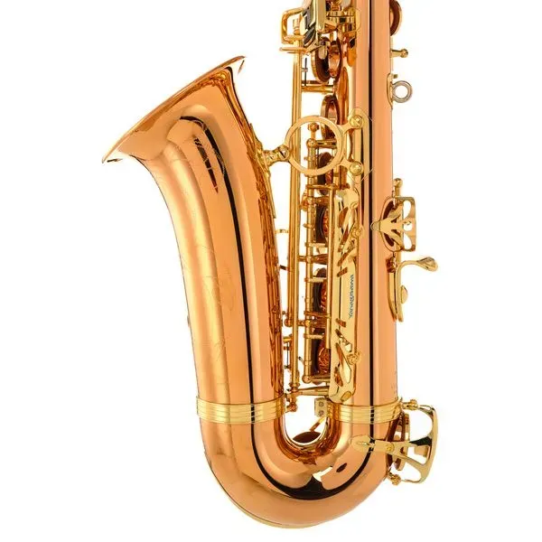 Yanagisawa A-WO20 Elite Professional Alto Saxophone - Bronze — view 4