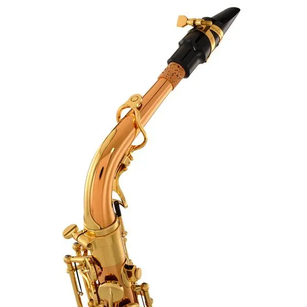 Yanagisawa A-WO20 Elite Professional Alto Saxophone - Bronze — view 5