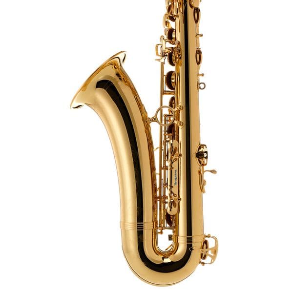 Yanagisawa TWO10 Professional Tenor Saxophone — view 3