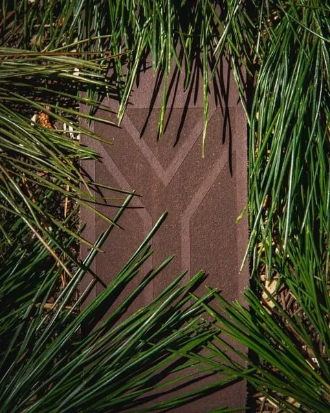 Za Strap Mzansi Bark — view 2