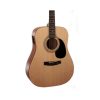 Cort AD810eOP Electric-Acoustic Guitar