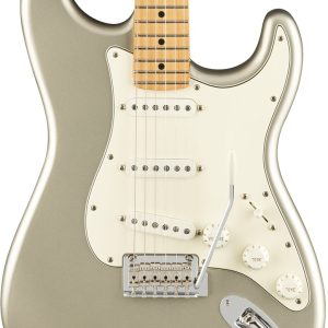 Fender Limited Edition Player Stratocaster - Inca Silver