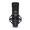 Marantz MPM2000U USB Condenser Microphone