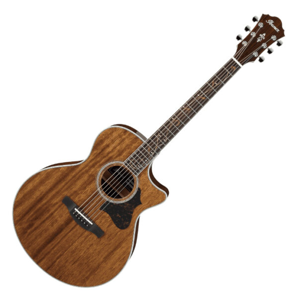 Ibanez AE245NT Acoustic Guitar - Image 5