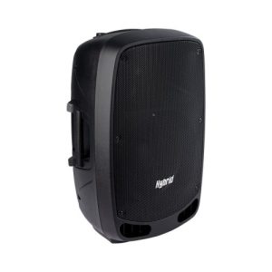Hybrid PA12B 12 inch Battery Powered Speaker