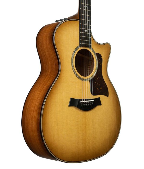 Taylor 514ce Grand Auditorium Acoustic-Electric Guitar - Urban Ironbark