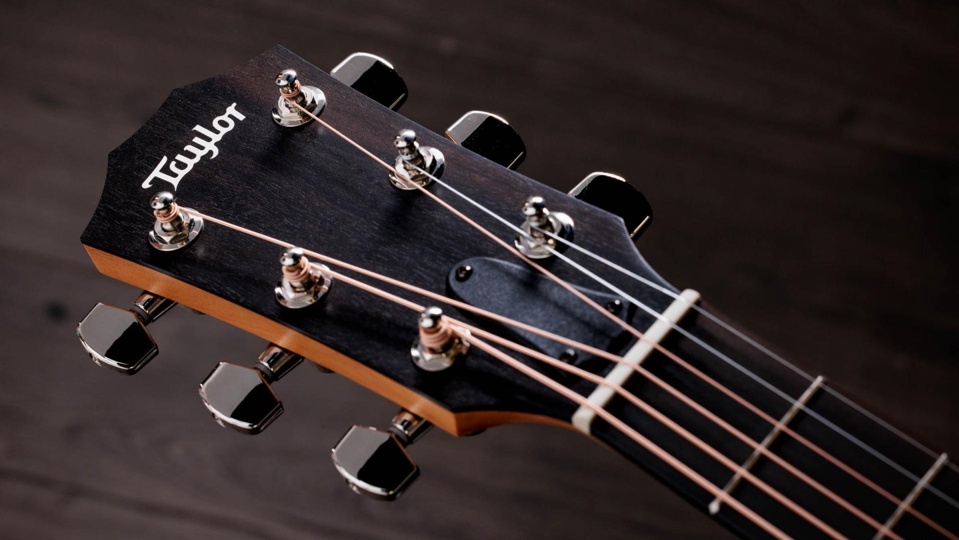 Taylor 214ce-Plus Grand Auditorium Acoustic Guitar W/Pick-up - Image 5