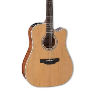 Takamine GD20CE-NS Acoustic Electric Guitar – Natural Satin